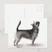 Stehendes Chihuahua-Handgemälde Postkarte (Vorne/Hinten)