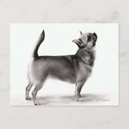 Stehendes Chihuahua-Handgemälde Postkarte (Vorderseite)