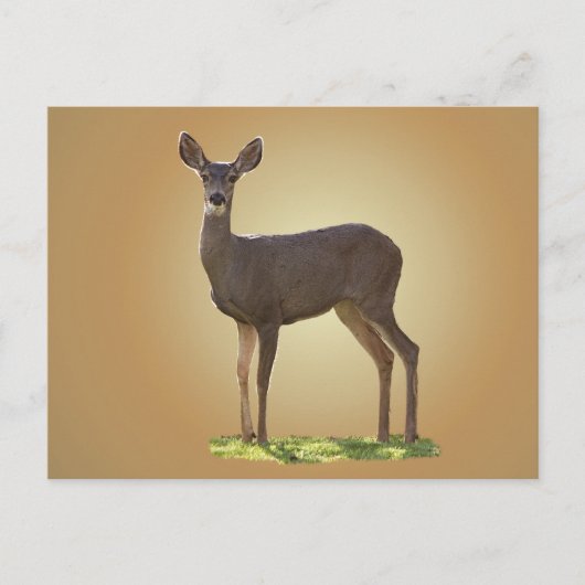 STEHENDES DEIN POSTKARTE (Vorderseite)