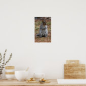 Stehendes Eichhörnchen Poster (Küche)