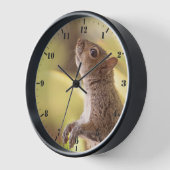 Stehendes, graues Eichhörnchen Uhr (Winkel)
