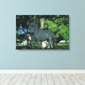 Stehendes Miniaturpferd Leinwanddruck (Insitu (Holzboden))