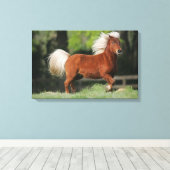 Stehendes Miniaturpferd Leinwanddruck (Insitu (Holzboden))