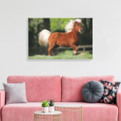 Stehendes Miniaturpferd Leinwanddruck (Insitu (Wohnzimmer))