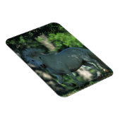 Stehendes Miniaturpferd Magnet (Rechte Seite)