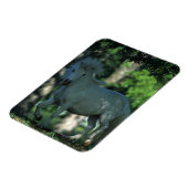 Stehendes Miniaturpferd Magnet (Linke Seite)