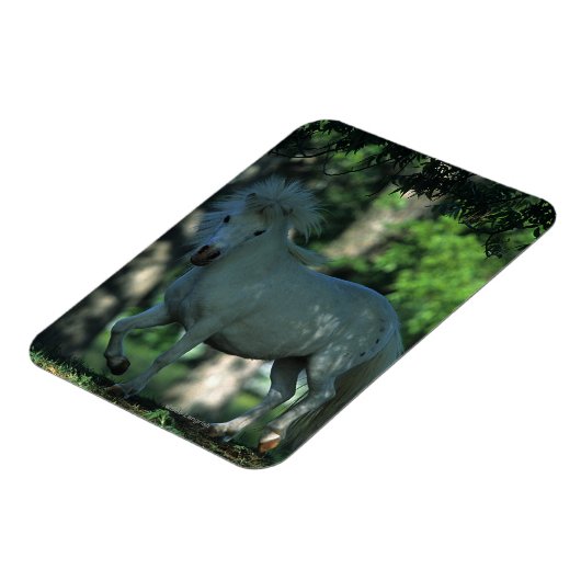 Stehendes Miniaturpferd Magnet (Linke Seite)