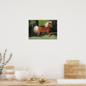 Stehendes Miniaturpferd Poster (Küche)