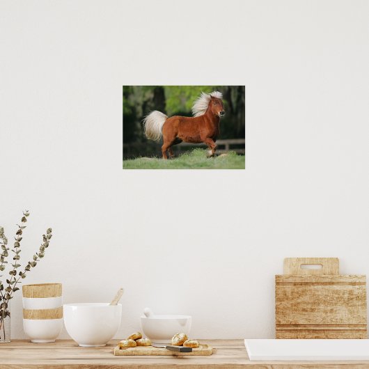 Stehendes Miniaturpferd Poster (Küche)