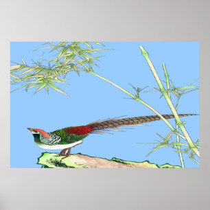 Stehendes Plakat des Fasans, das 7 zeichnet