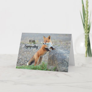 Stehendes Red Fox-Beileid Karte
