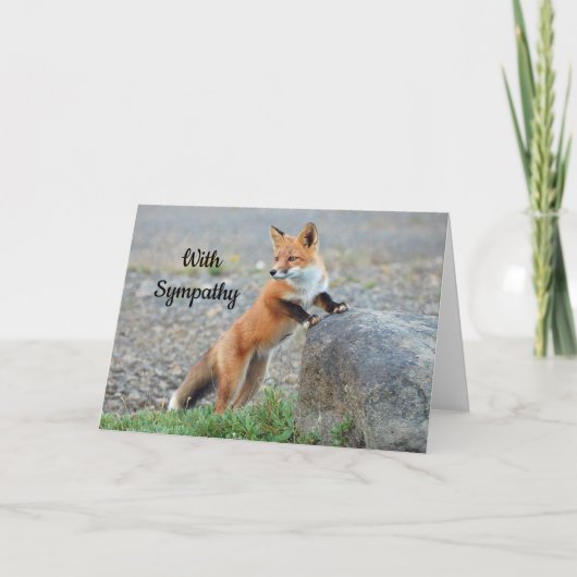 Stehendes Red Fox-Beileid Karte (Vorderseite)