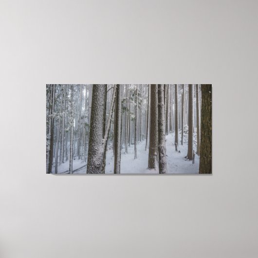 Stehendes Tal #2 Leinwanddruck (Vorderseite)