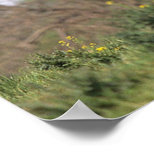 Stehendes Vollblutpferd Poster (Ecke)