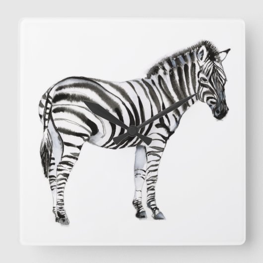 Stehendes Zebra Quadratische Wanduhr (Vorderseite)