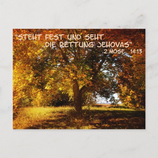 Steht fest und seht die Rettung Postkarte (Vorderseite)