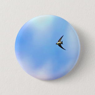 steigen button