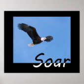 steigen poster (Vorne)