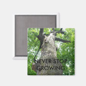 STEIGEN SIE NIE AUF MAGNET (Vorderseite/Rückseite)