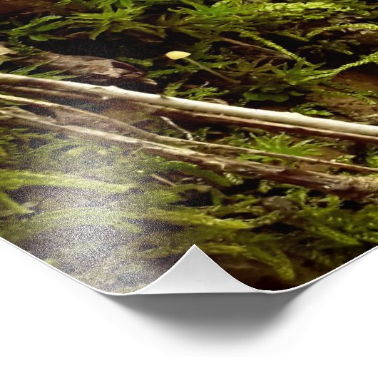 Steigende Hoffnung Fotodruck (Ecke)