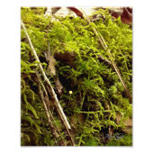 Steigende Hoffnung Fotodruck (Vorne)