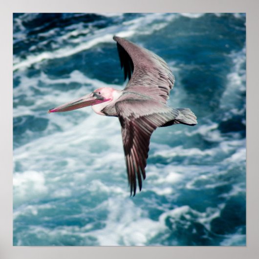 steil poster (Vorne)