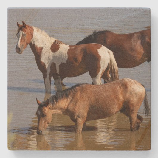 Stein-Achterbahn_Mustangs im Wasser Steinuntersetzer (Vorderseite)