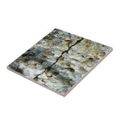 Stein mit Riss Fliese (Seite)