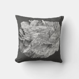 Stein | Neue Ansicht | Zwei Tonebenen | Kissen