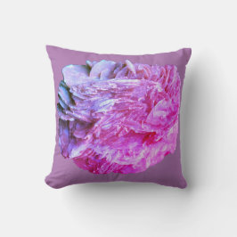 Stein | Neue Ansicht | Zwei Tonebenen | Kissen