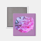 Stein | Neue Ansicht | Zwei Tonebenen | Magnet (Vorderseite/Rückseite)