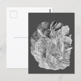 Stein | Neue Ansicht | Zwei Tonebenen | Postkarte