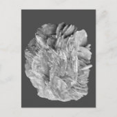 Stein | Neue Ansicht | Zwei Tonebenen | Postkarte (Vorderseite)