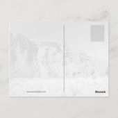 Stein Postkarte (Rückseite)