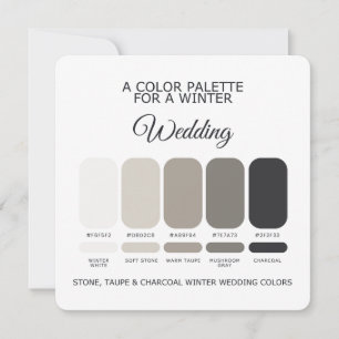 Stein-Taupe-Holzkohle-Winterhochzeit-Palette Karte