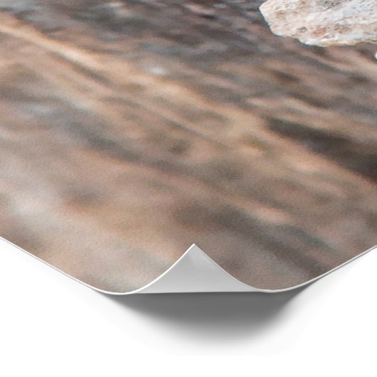 Stein und Holz (vertikal) Poster (Ecke)