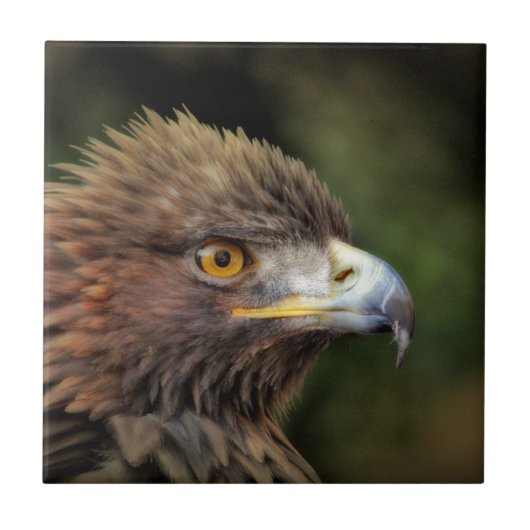 Steinadler Fliese (Vorderseite)