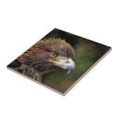 Steinadler Fliese (Seite)