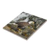 Steinadler Fliese (Seite)