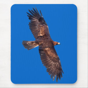 Steinadler im Flug Mauspad (Blau)