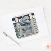 Steinbär Quadratischer Aufkleber (Umschlag)