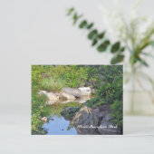 Steinberg Park Bellinzona Postkarte (Stehend Vorderseite)