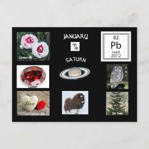 Steinbock Januar Geburtsmonats-Postkarte Postkarte