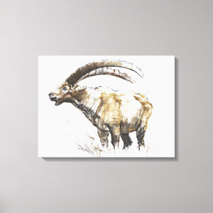 Steinbock Noasca Leinwanddruck
