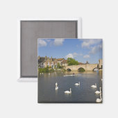Steinbogenbrücke und Fluss Ouse, St. Ives, Magnet (Vorderseite/Rückseite)