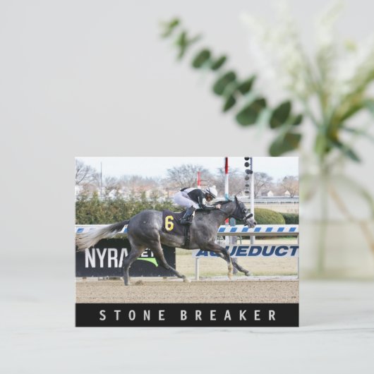 Steinbrecher Postkarte (Stehend Vorderseite)