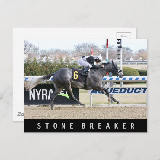 Steinbrecher Postkarte (Vorne/Hinten)