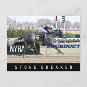 Steinbrecher Postkarte