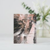 Steinbrücke Postkarte (Stehend Vorderseite)