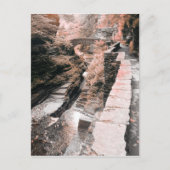 Steinbrücke Postkarte (Vorderseite)